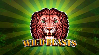 Wild Beasts